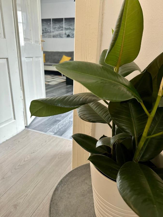 Apartment Tina Бовец Экстерьер фото